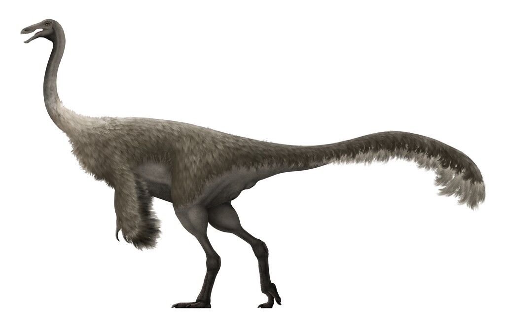 Gallimimus