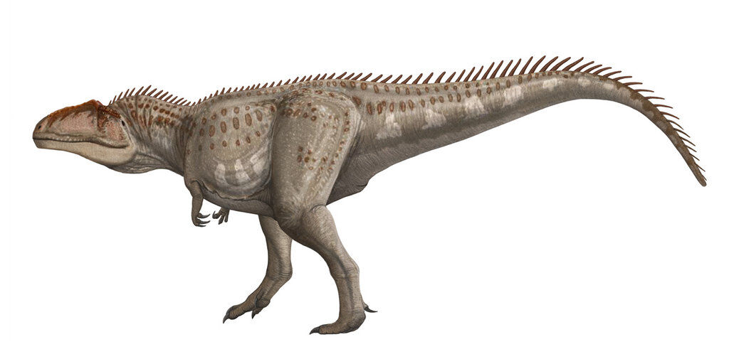 Giganotozaur