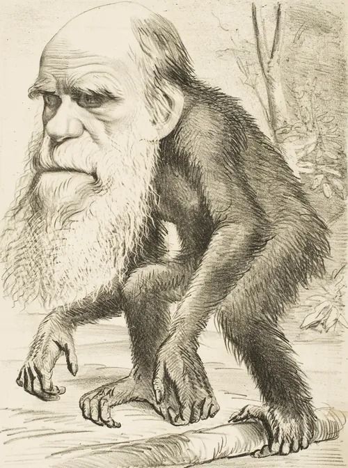 karykatura-Darwina